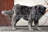 08.01.2014 ZGIERZ GMINA SUKA 55690